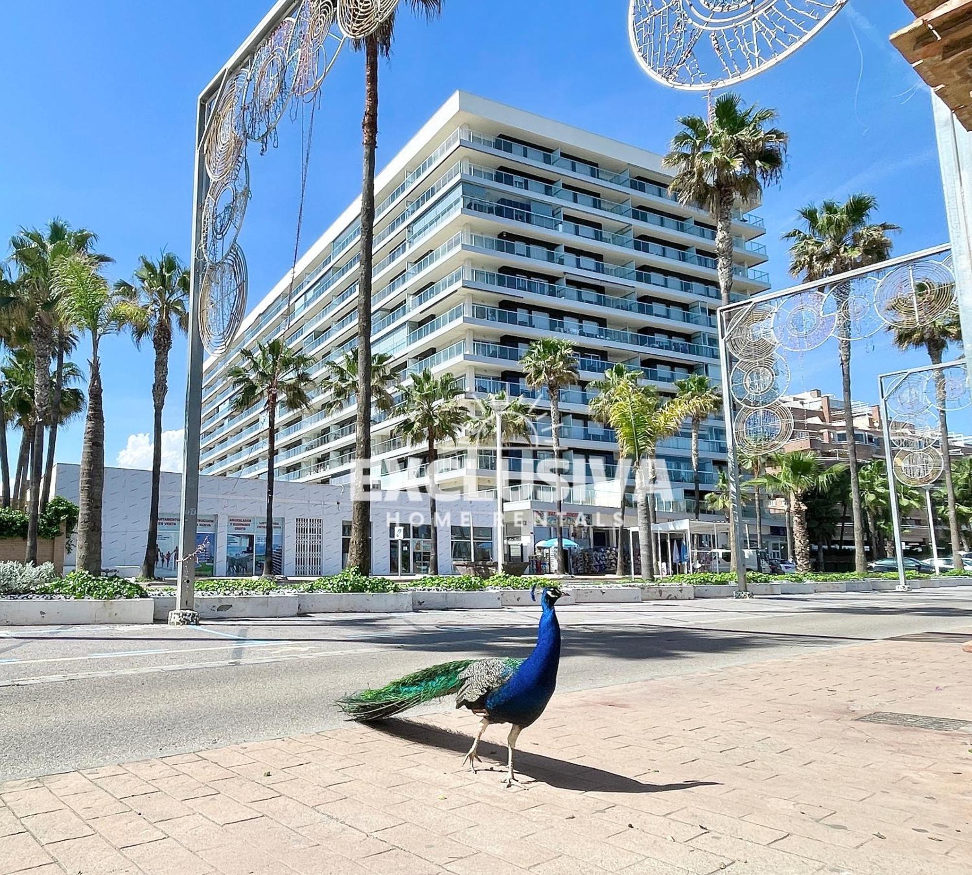 Apartamento Albamarina, 1ªlinea, Magic World, Vistas Al Mar! オロペサ・デル・マール エクステリア 写真